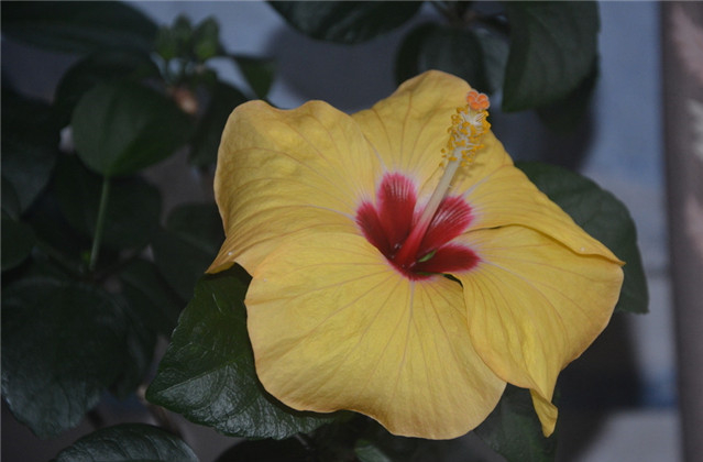 孟浩然描写田园风光的四句诗,描写山水田园的古诗孟浩然