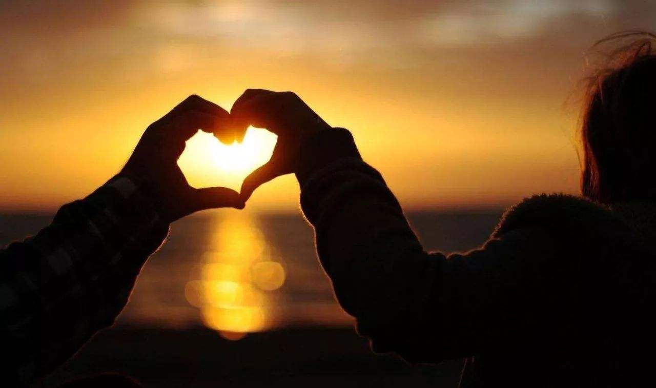 哀大莫过于心死，不是我懂事了，是我不想再爱你了