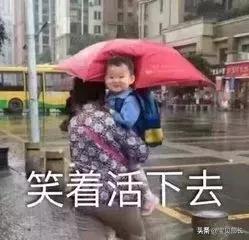 “2019年,我朋友圈的代购都疯了哈哈哈哈哈哈哈”