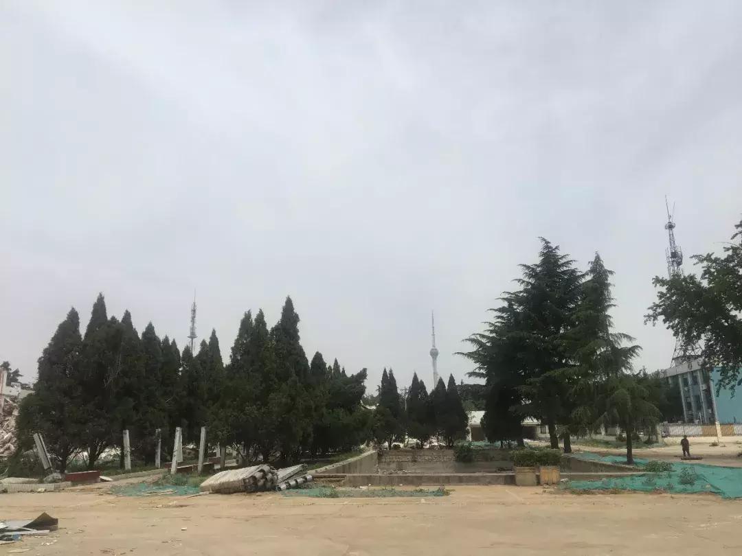 再见了，骨科医院！你好，临沂第十二中学！