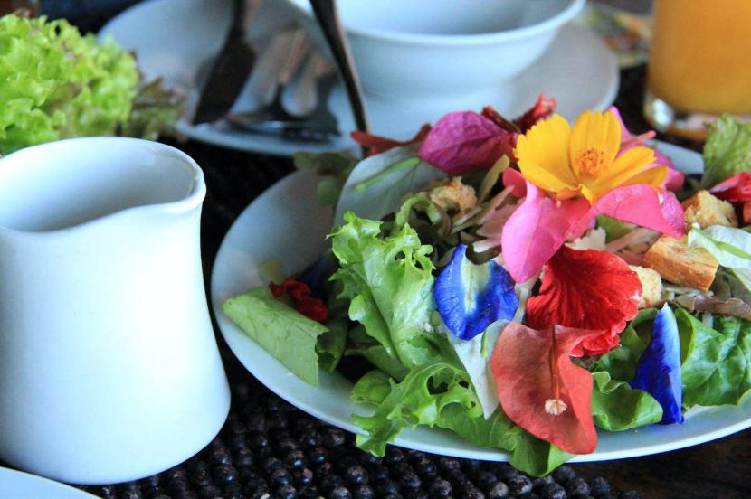 去菲律宾旅游要准备什么东西,去菲律宾有哪些要注意的事项