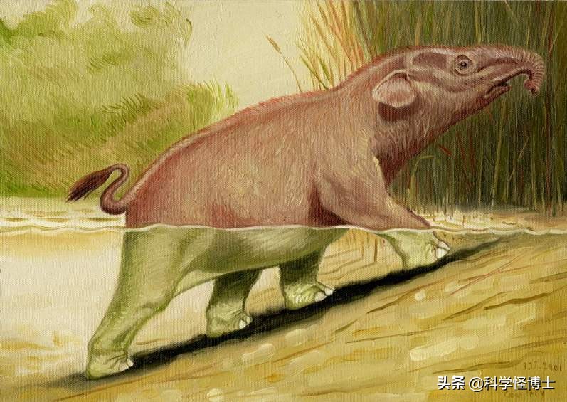远古时期大象为什么没灭绝,大象是猛犸象演变过来的吗