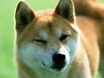 一文读懂苹果iphone12发布会,一文看懂iphone