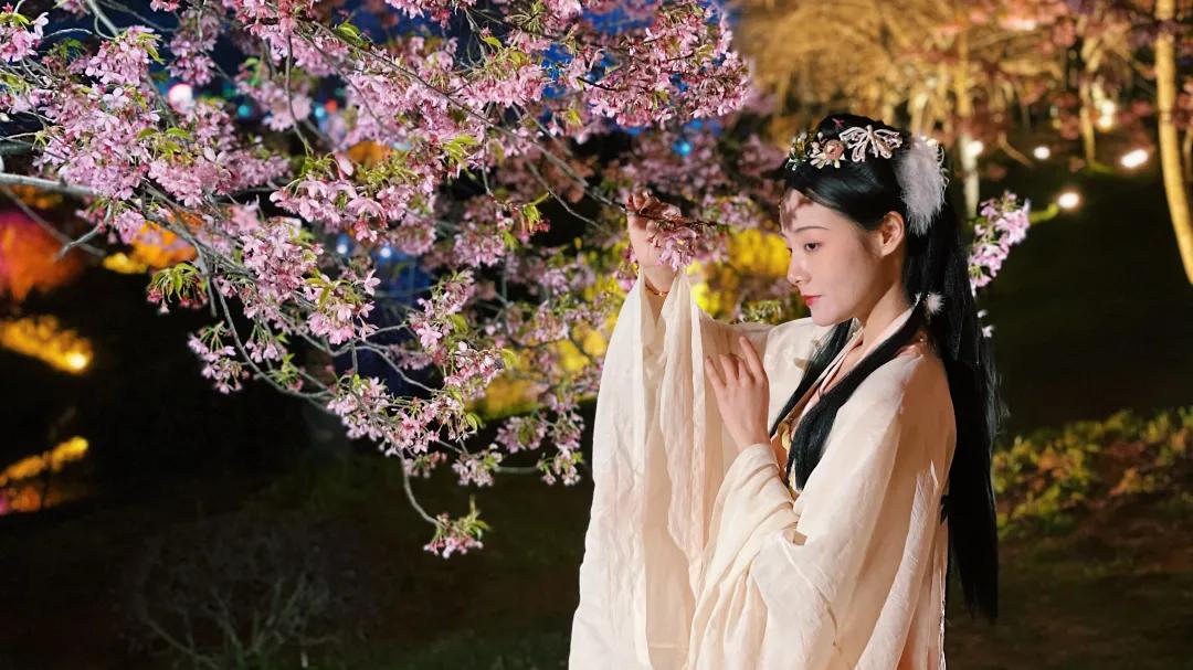 春光恰好清明小长假赏花指南,清明小长假花海