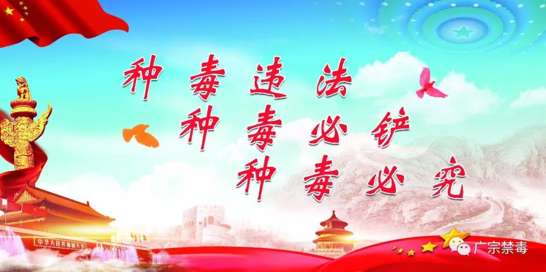 *毒冰**是万能药？万能虐！