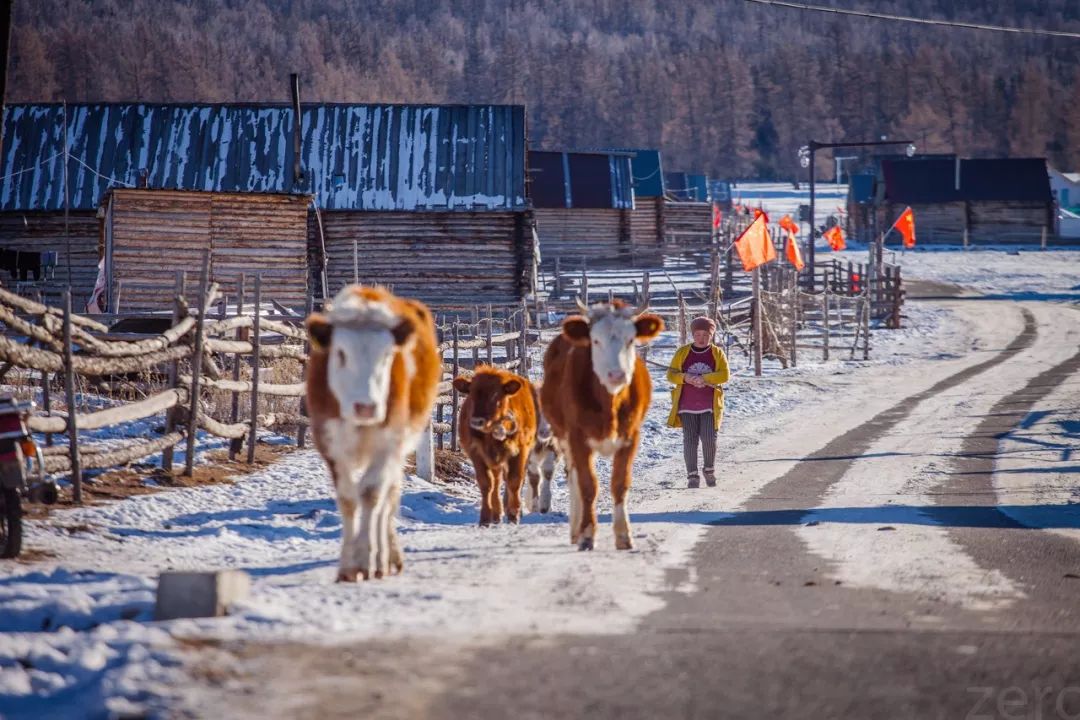 鍫瘮鐟炲+鐨勪腑鍥芥粦闆満,濯茬編鐟炲+