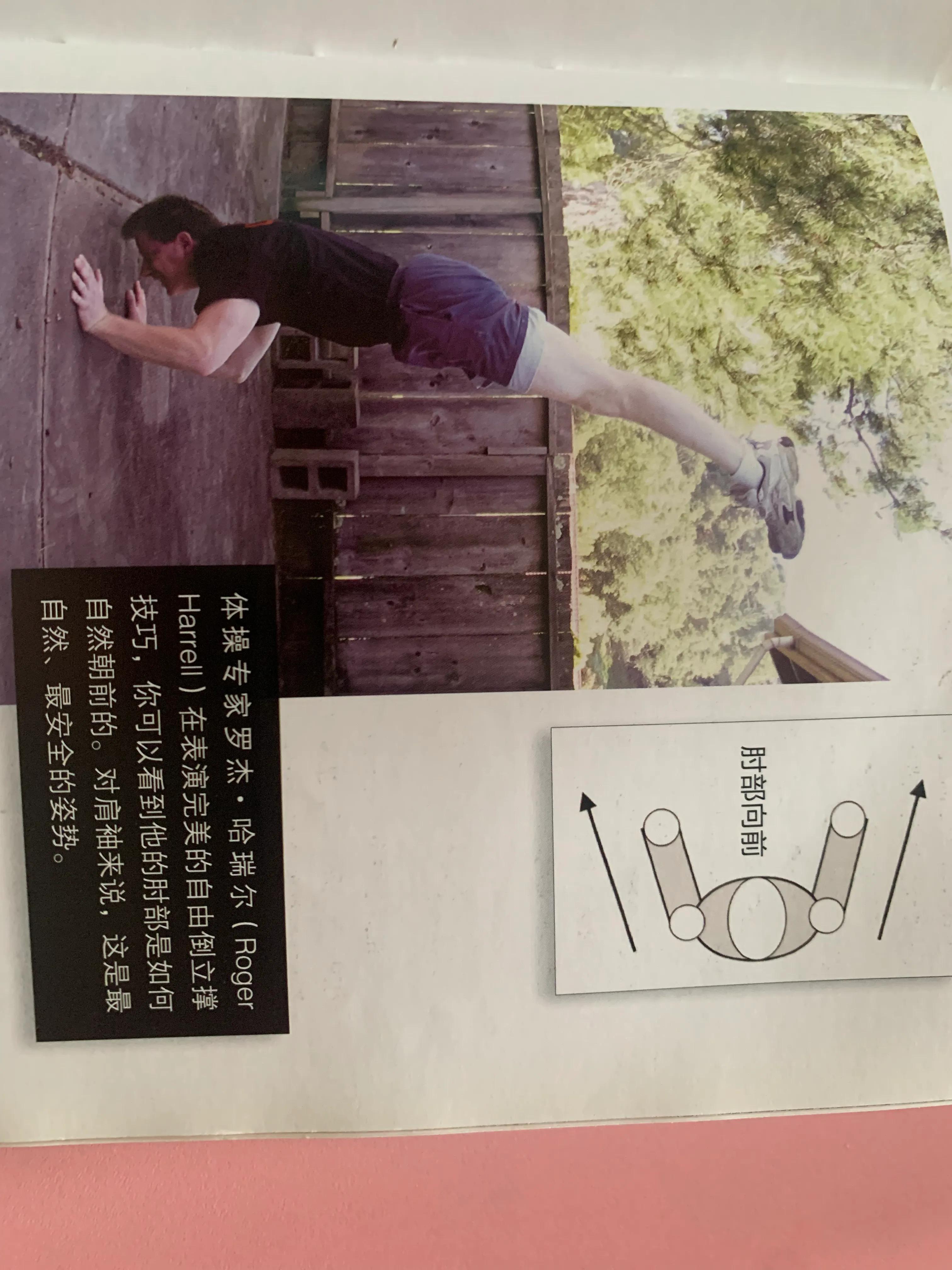 肩部徒手健身动作大全,女性徒手健身动作大全