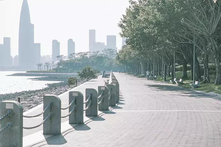 深圳海岸线高清图,深圳比较漂亮的海岸线