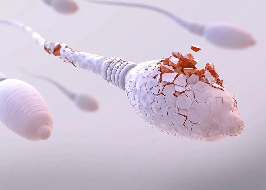 弱精死精少精怎么治,精少死精弱精无精中医怎么治