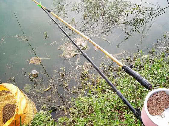 自己动手制作竹竿钓鱼,如何制作简易竹竿钓鱼