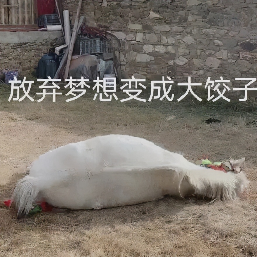 灵魂对话网红圈资深猎头:丁真的职业选择和未来