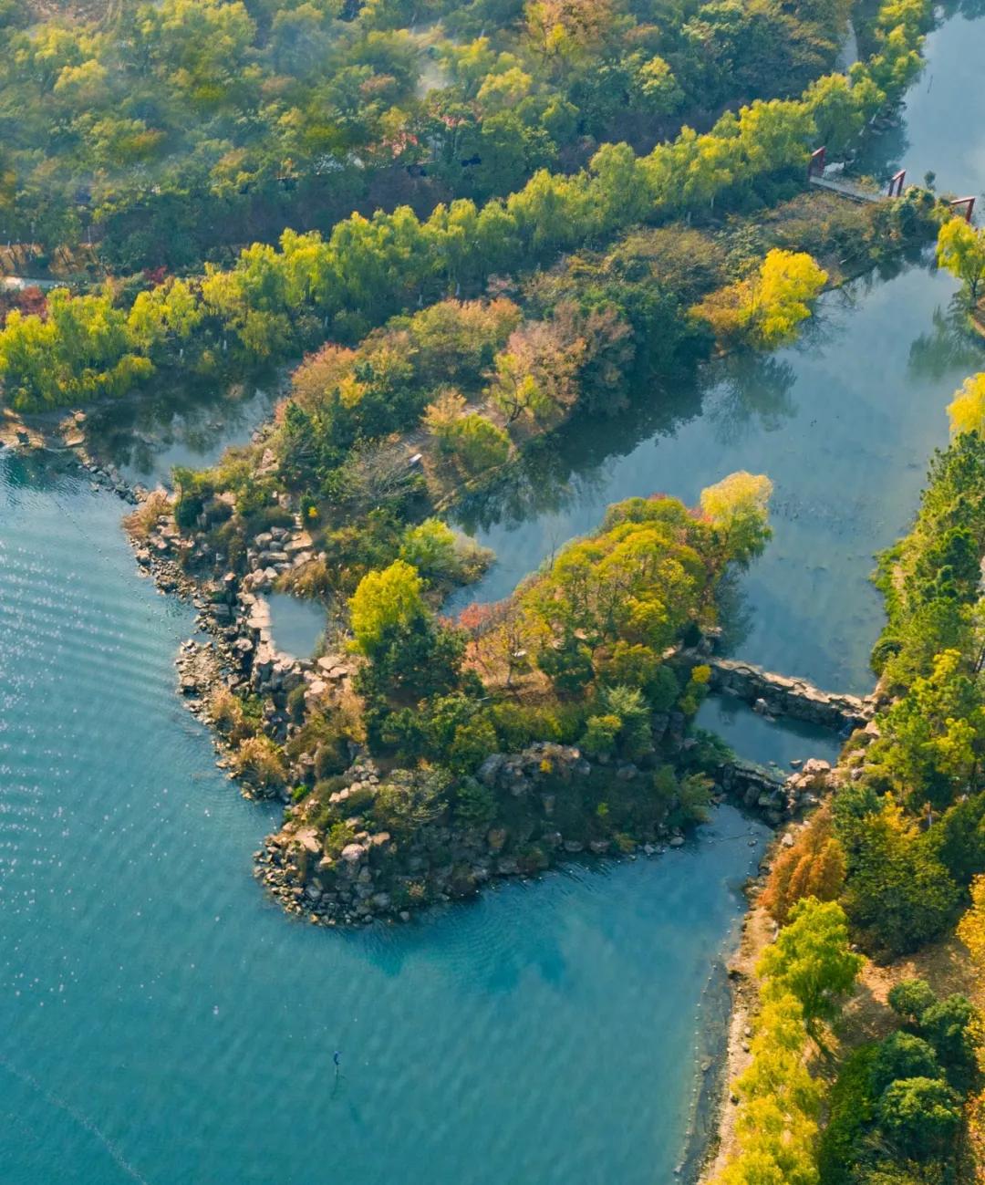 合肥市政务区的天鹅湖介绍,合肥天鹅湖设计