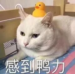 港铁能靠票价赚钱吗,港铁加价涨幅幅度