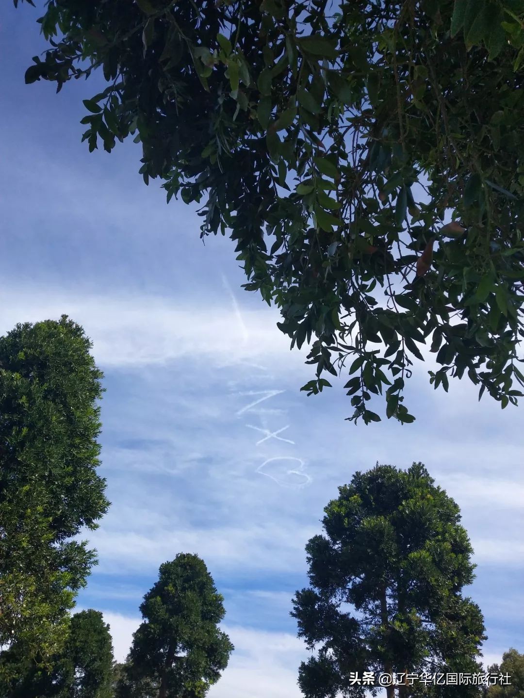 看世界震撼视频,看世界的震撼