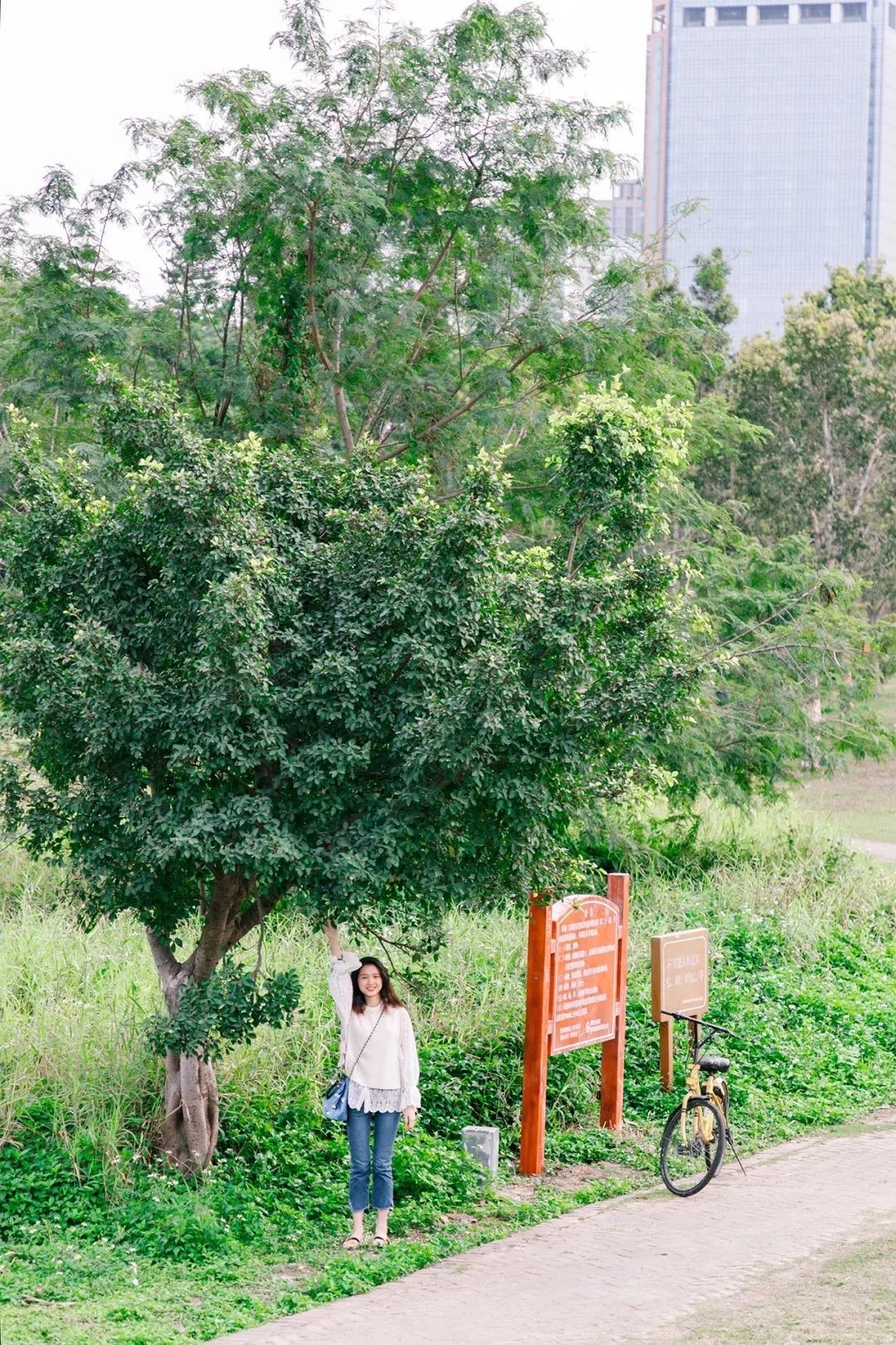 去深圳免费游玩的10个地方,深圳免费游玩景点推荐