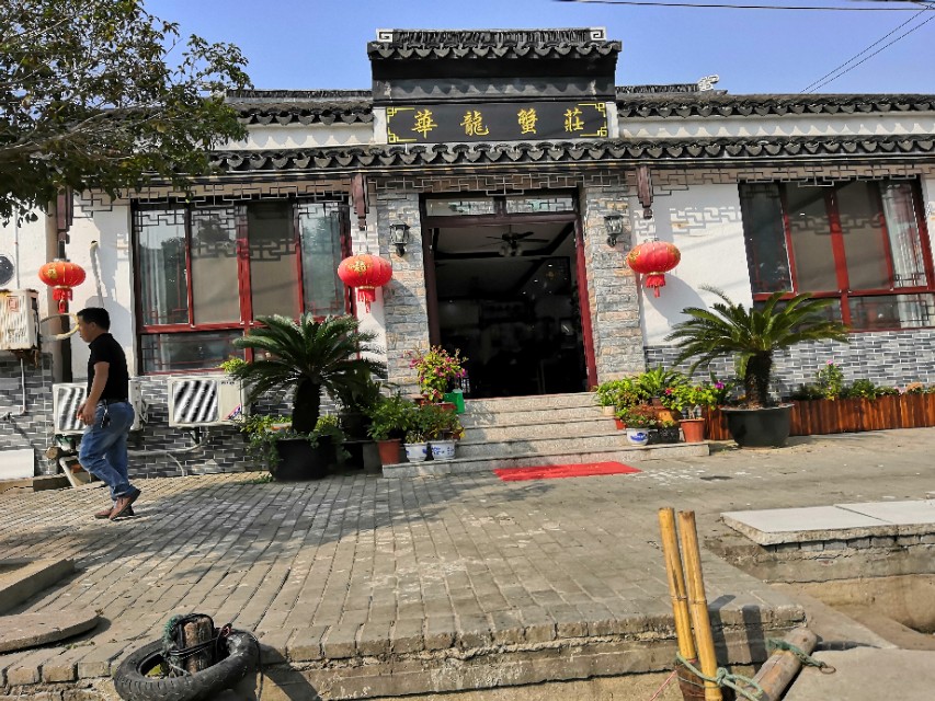 莲花岛一日游的心情感悟,阳澄湖莲花岛邂逅小院