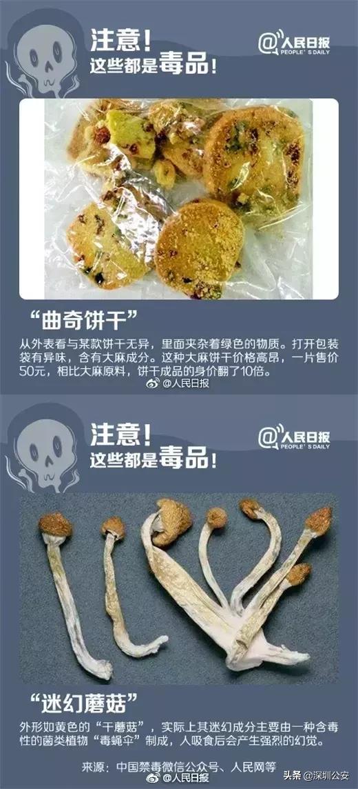 知识点有什么,知识点的重要性