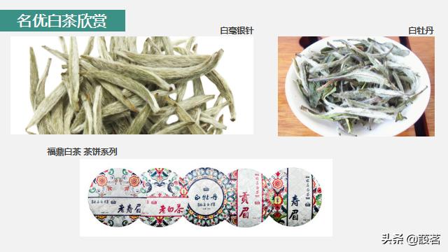 茶叶知识零基础入门手册书电子版,茶叶基础知识讲解课件视频