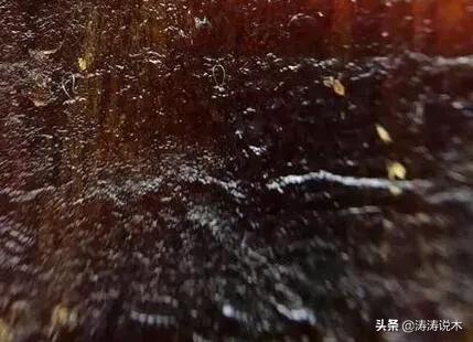 沉香木是什么树形成的长什么样,沉香木是怎么产生的