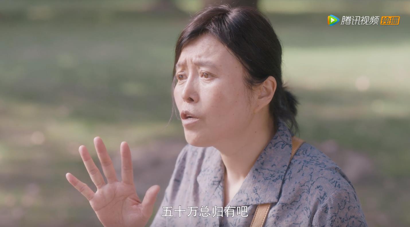 安家后续深度解析,安家透露出的问题