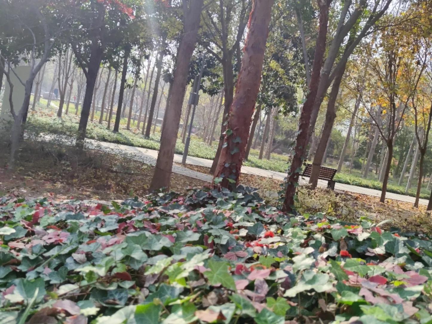 宿舍太吵了如何幽默提醒,宿舍太吵有什么办法入睡