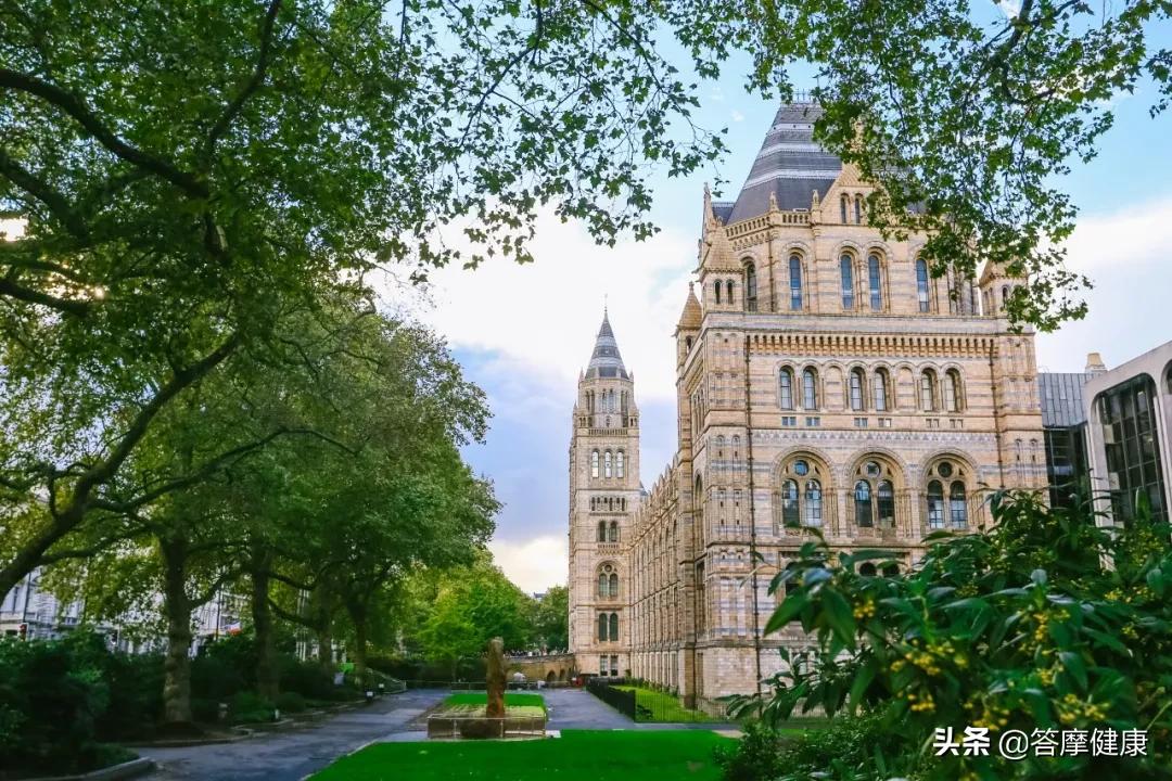 4.4元看好了1500元没解决的毛病，这就是中医知识的价值