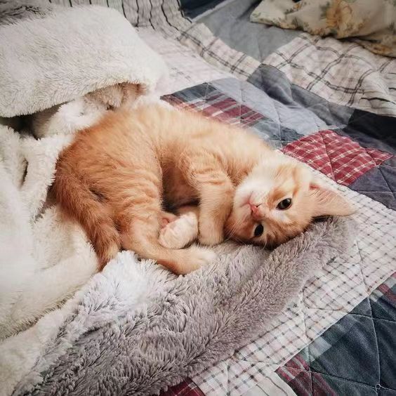 和外国人结婚的真实感受,和外国人结婚后出国