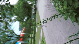 weebill2稳定器怎么样,weebill稳定器手机