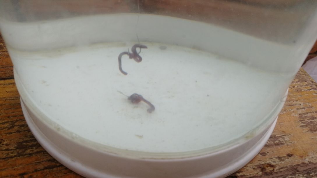 钩饵的状态和水的深浅有关系吗,如何控制钩饵在水里的状态