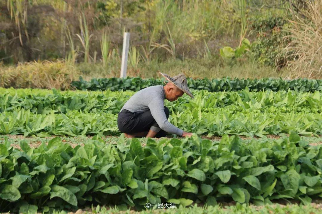 长泰历史最悠久的古镇,长泰的名胜古迹