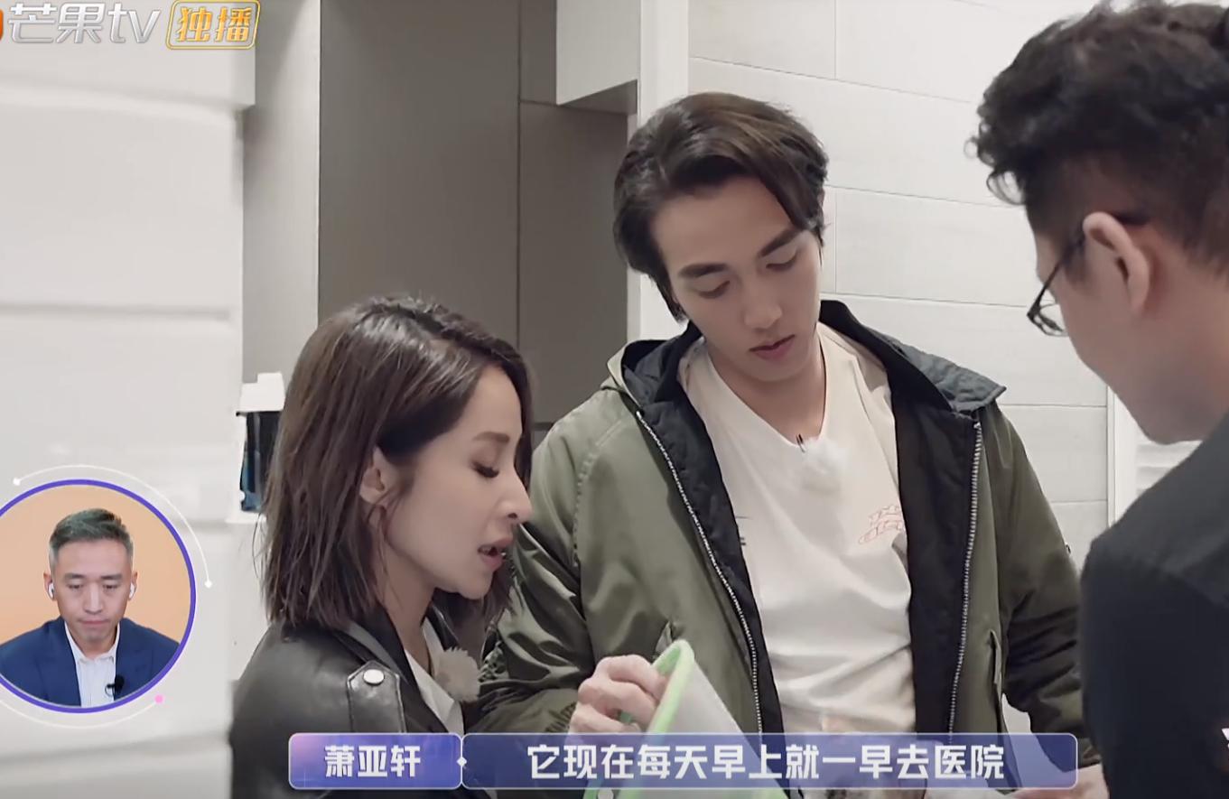 吉娃娃一只眼睛凸,吉娃娃一只眼睛白膜