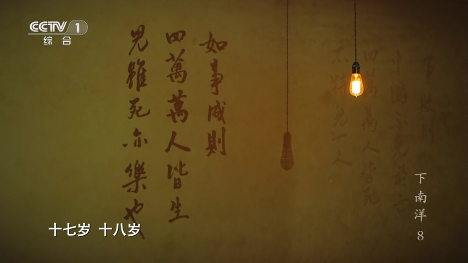 下南洋是啥意思,下南洋内容简介