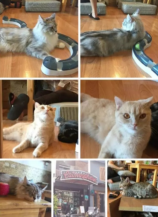 泰国清迈拜县旅游攻略,清迈拜县七日游