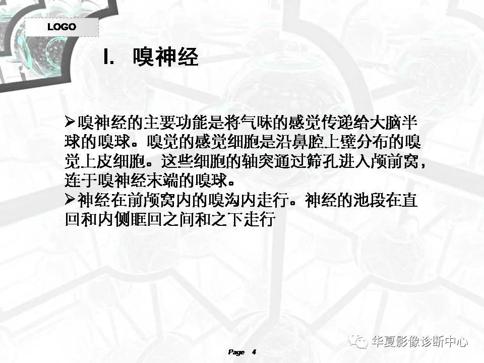 磁共振颅神经扫描是定位在哪,颅神经图谱