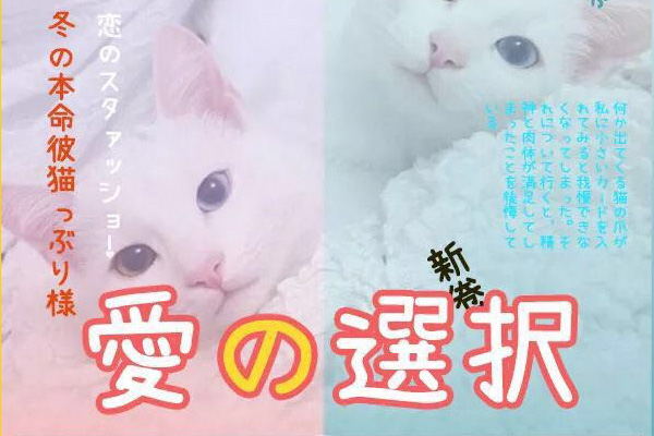 大品牌用的免费商用英文字体,180款免费字体下载可商用