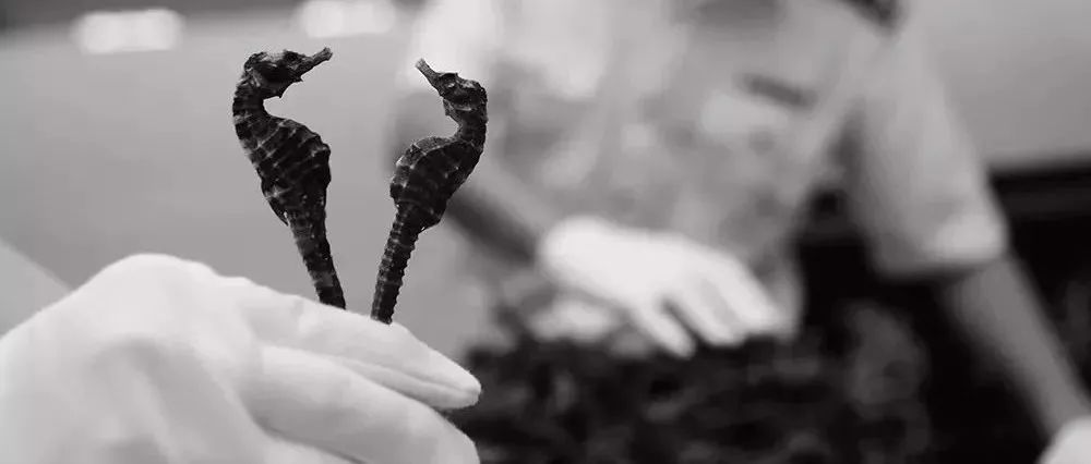 出国旅游禁忌捡东西,出国旅游哪些食品不能带