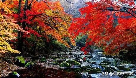 本溪赏枫攻略,本溪赏枫景区