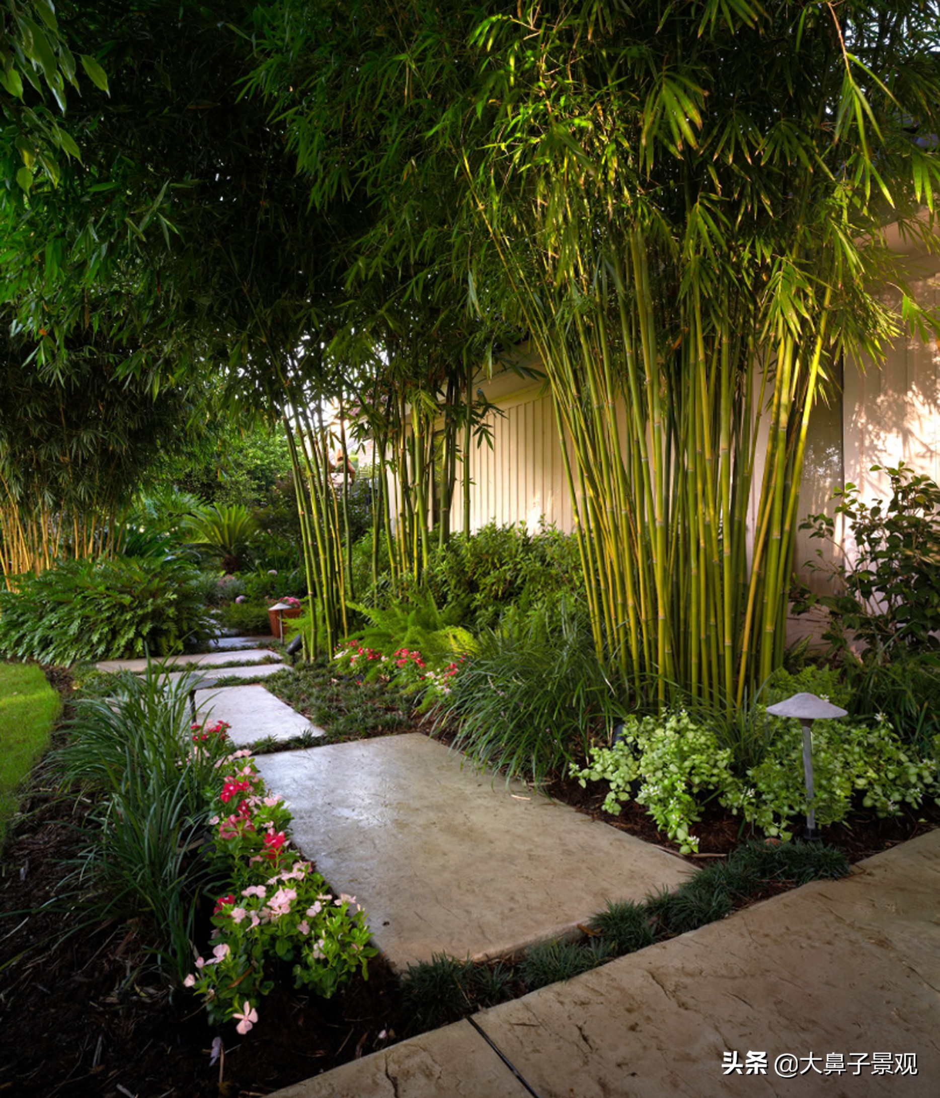 日式庭院植物选择和配置方法,庭院景观植物配置效果图