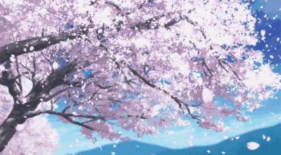 动漫樱花有什么含义,日本动漫中樱花文化