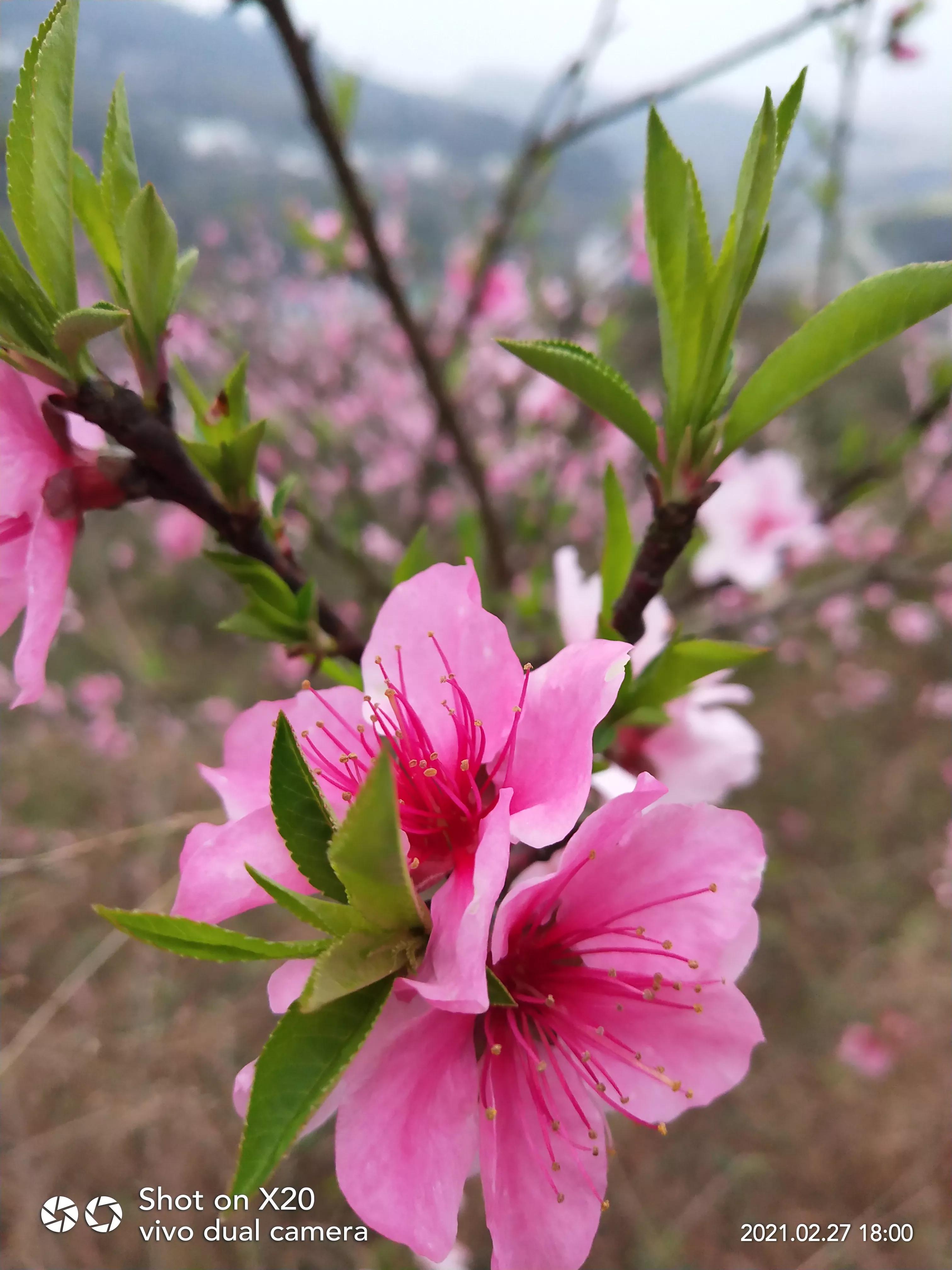 家有高中生家长该不该陪读,家有高中生家长的感悟