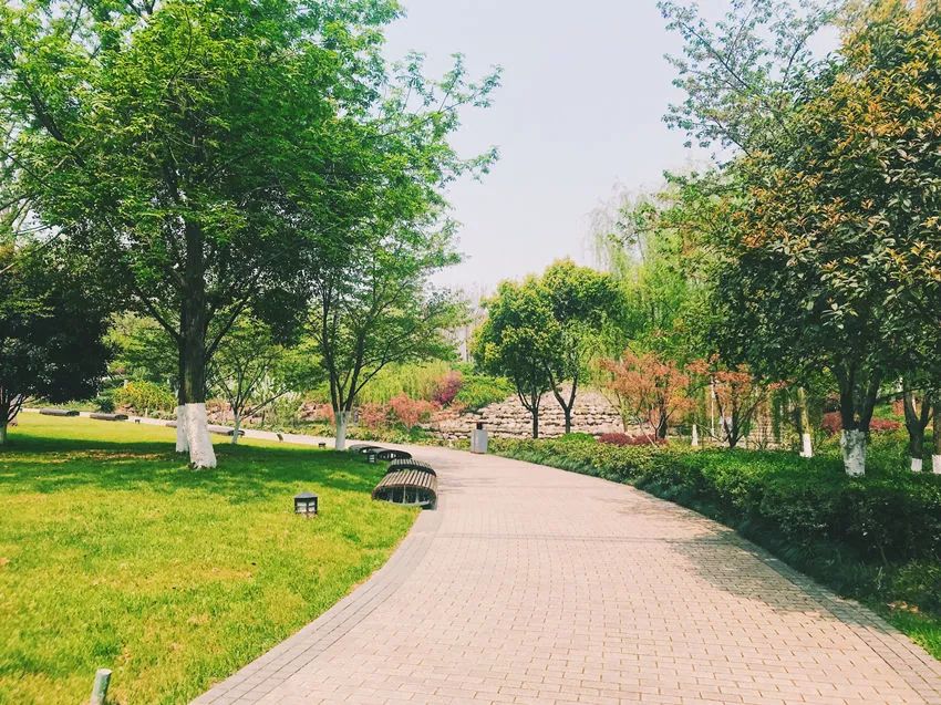 武汉11月打卡景点和网红地,武汉50个值得打卡的地方