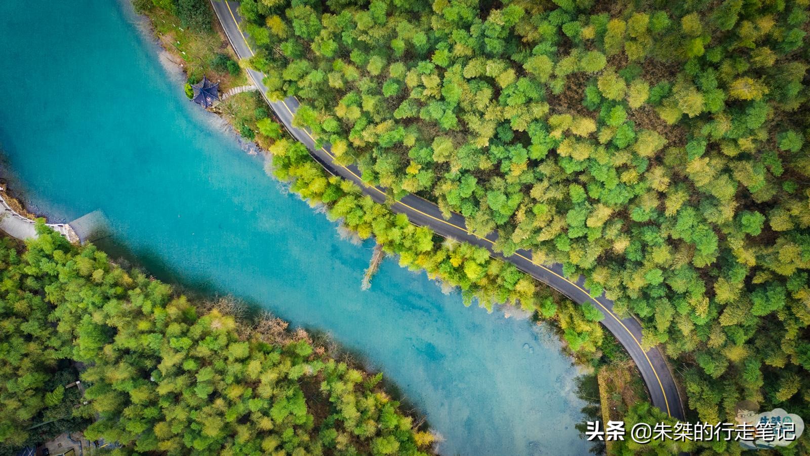 最美竹海在哪里,中国最美竹海风景区