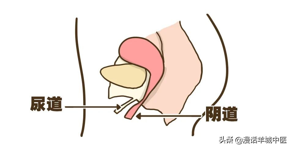 总是对避孕心存侥幸？小心踏入这5大避孕误区，选错一秒变爸妈！