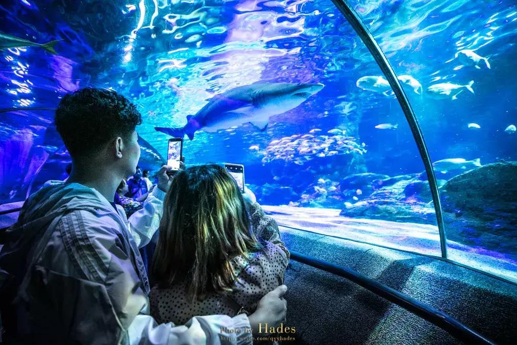 这个夏日25°C的宝藏城市美炸了！海岛、万国建筑、叮叮车..想去