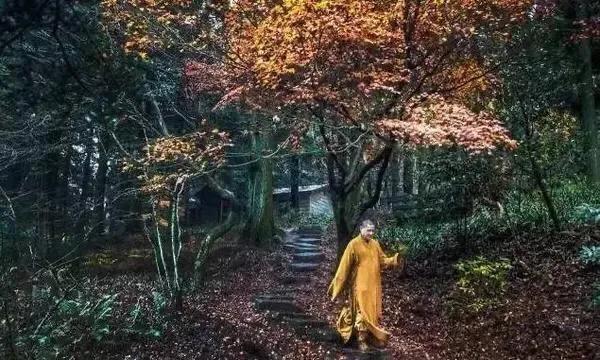 江西十大旅游秘境,春节绍兴去江西十大最美自驾路线