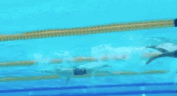 孙杨自由泳打腿教学视频,孙杨自由泳4次腿慢动作回放