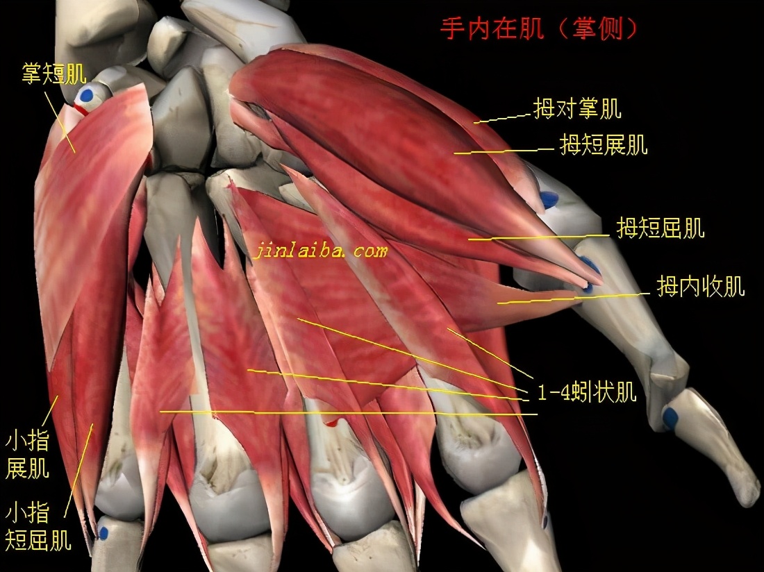 腕舟骨骨折康复训练6个动作,足舟骨骨折康复训练视频教程