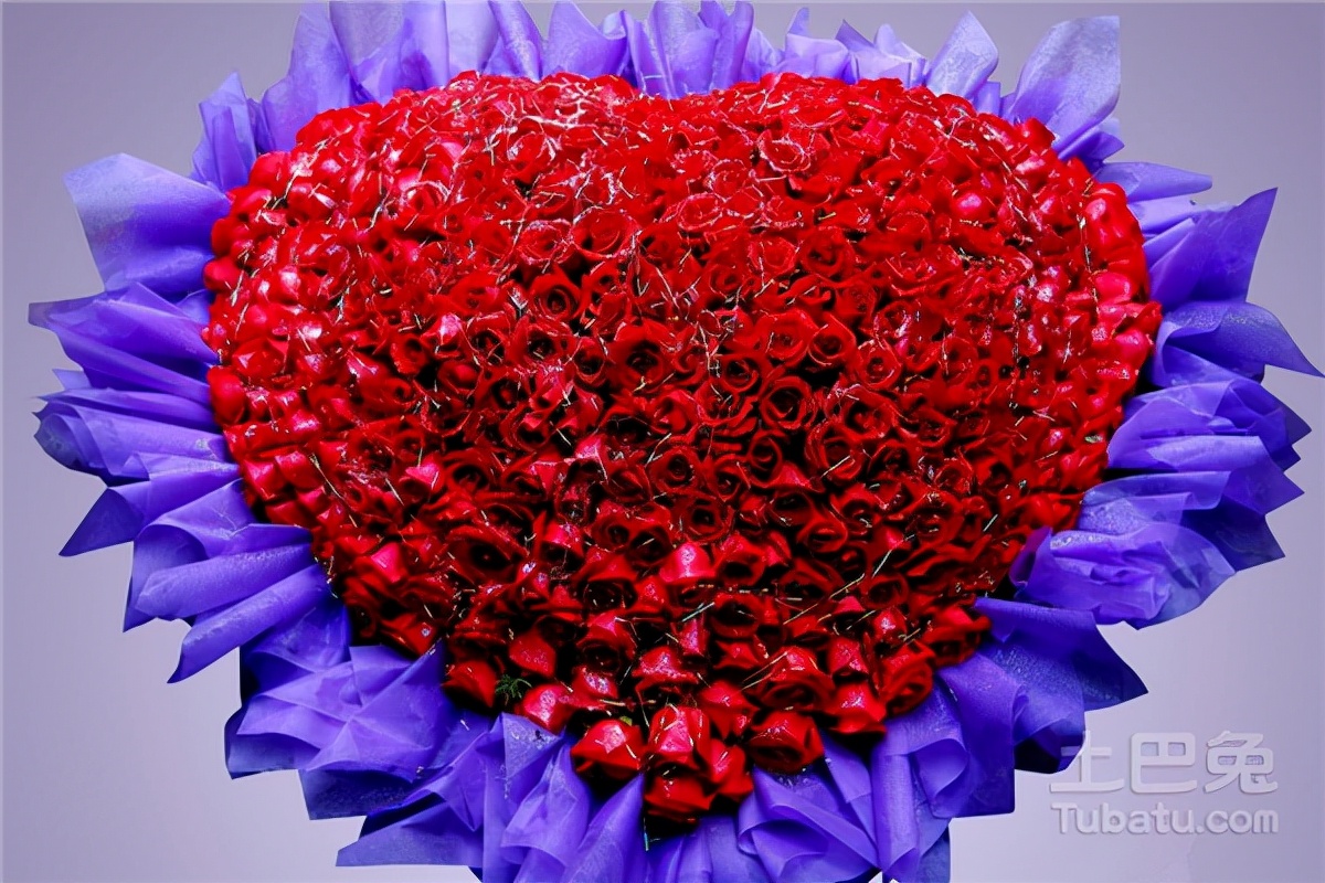 生活中常见的花语大全,生活中常见花卉花语