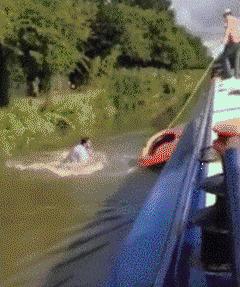 有一匹马不会动了是怎么回事,有一匹马不会动是怎么回事