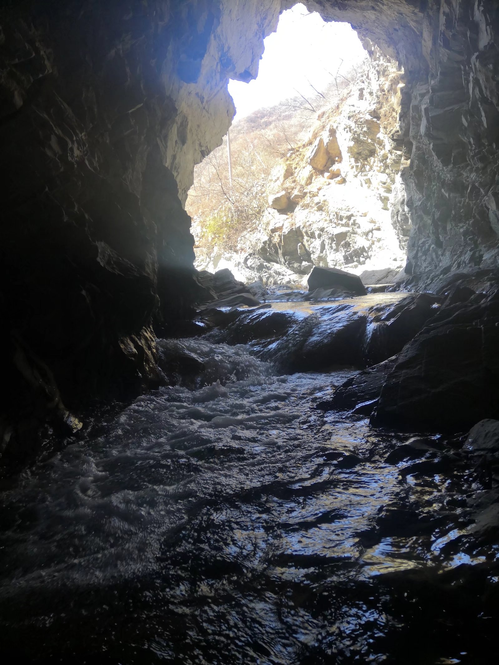 山里面可能捡到的名贵石头,山里哪种地方能捡到有价值的石头